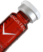 F-MAGISTRAL - Image 2